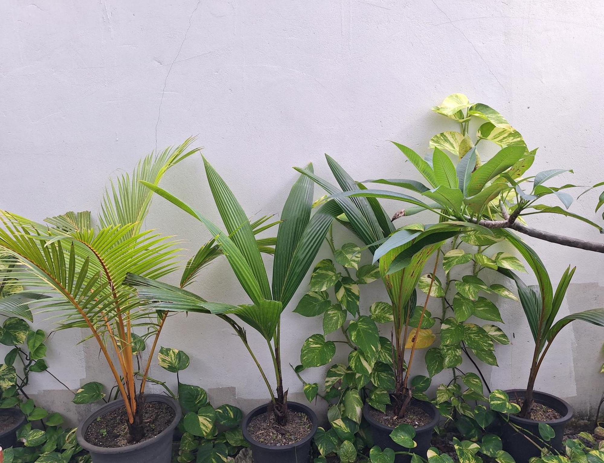 腾蒂水疗别墅 Maalhos  外观 照片
